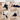 Height-Adjustable Swivel Office Chair with Castors